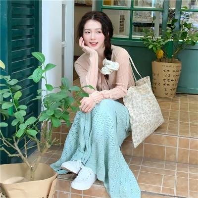 母猫