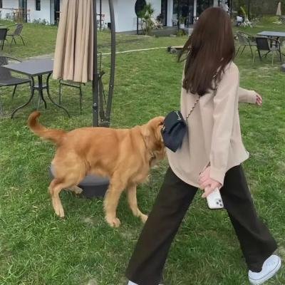 智勇新警界粤语